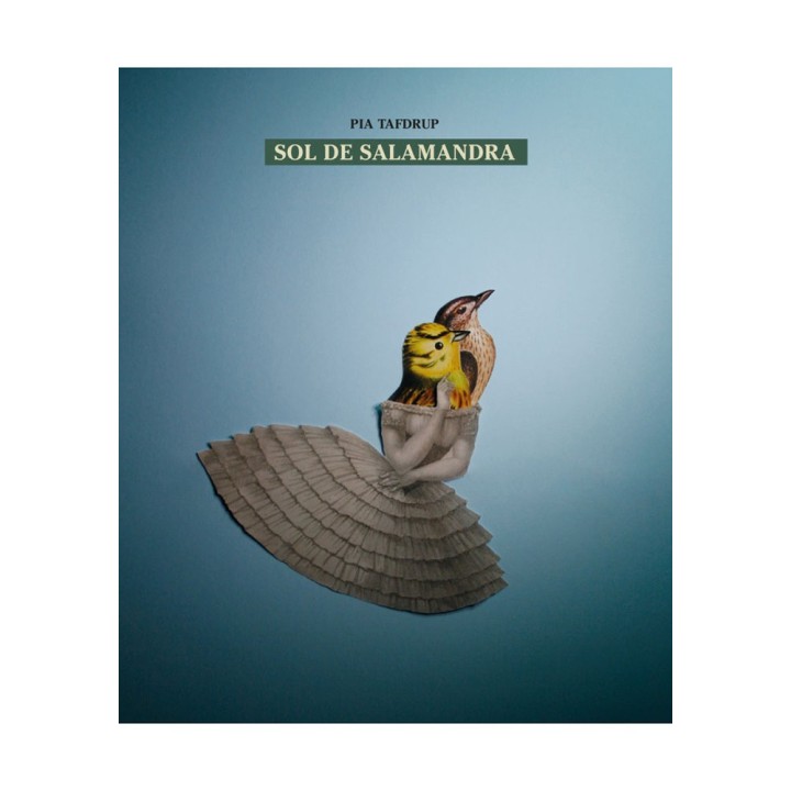 SOL DE SALAMANDRA