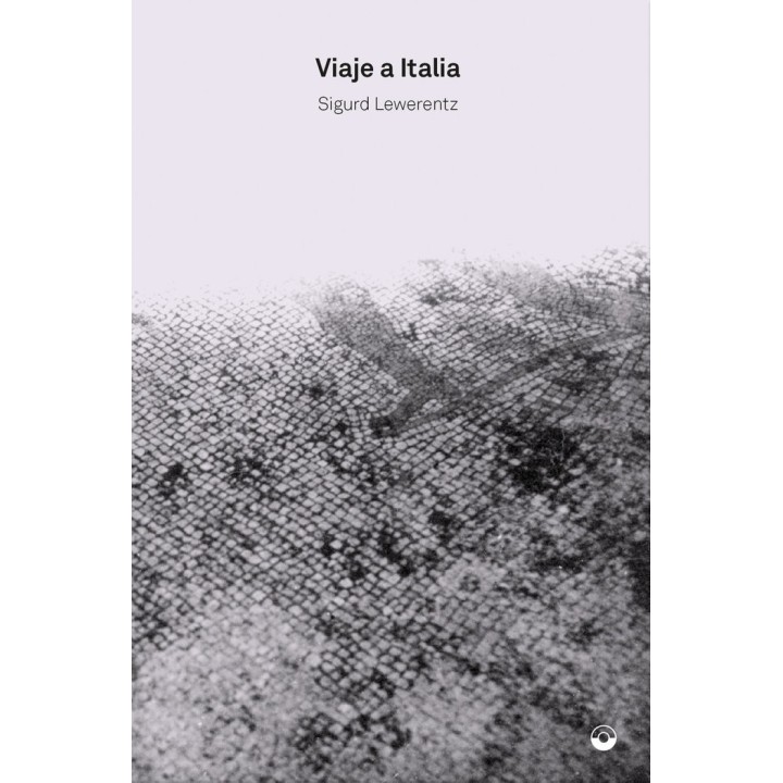 VIAJE A ITALIA
