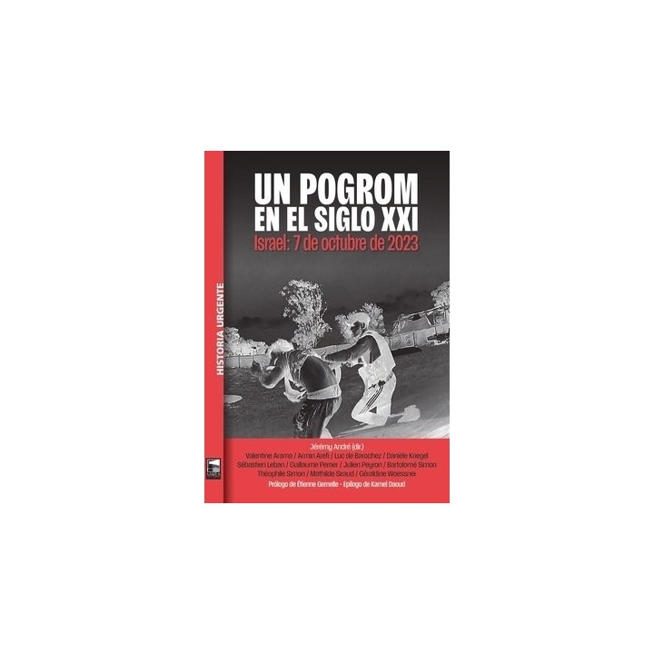 UN POGROM EN EL SIGLO XXI