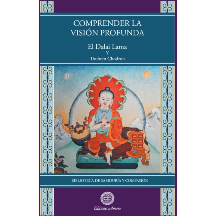 COMPRENDER LA VISION PROFUNDA