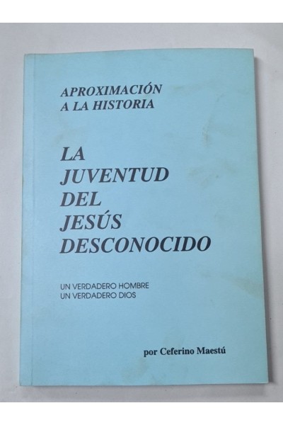 APROXIMACIÓN A LA HISTORIA: LA JUVENTUD DEL JESUS DSCONOCIDO