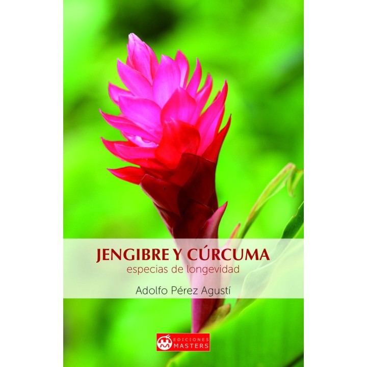 JENGIBRE Y CURCUMA