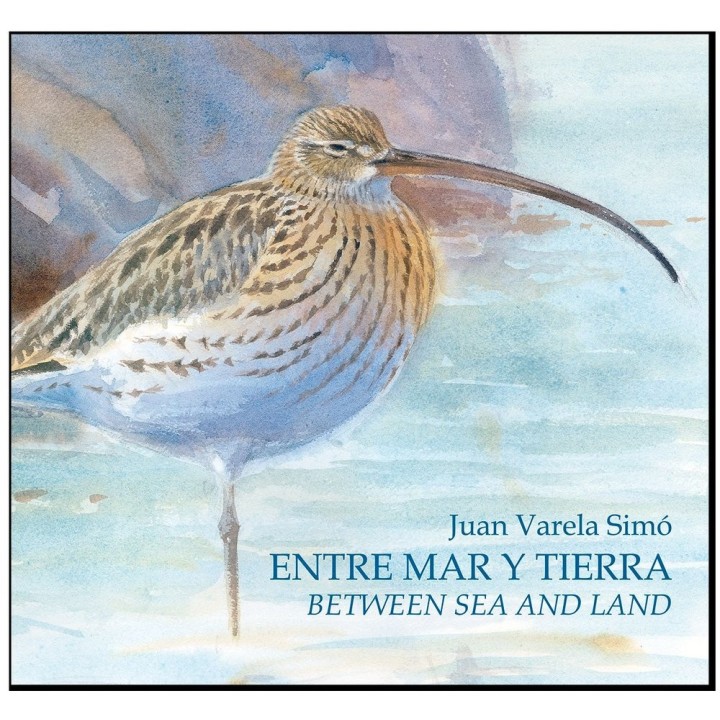ENTRE MAR Y TIERRA-BETWEEN SEA AND LAND