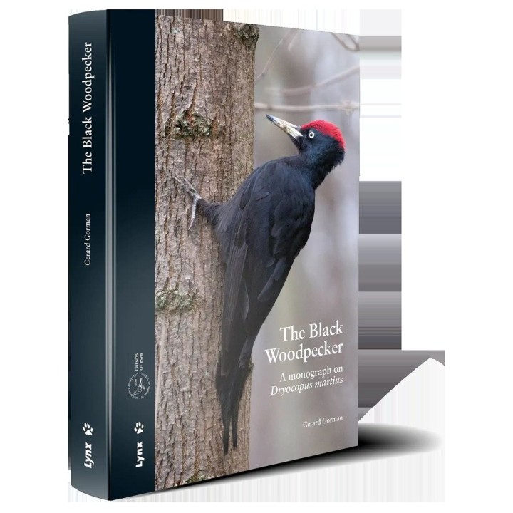 THE BLACK WOODPECKER