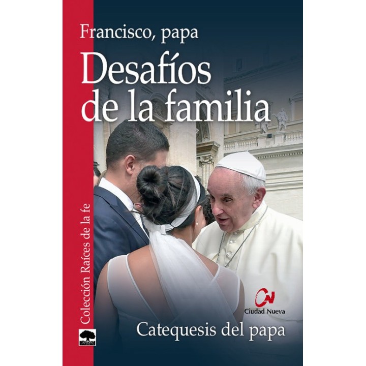 DESAFIOS DE LA FAMILIA