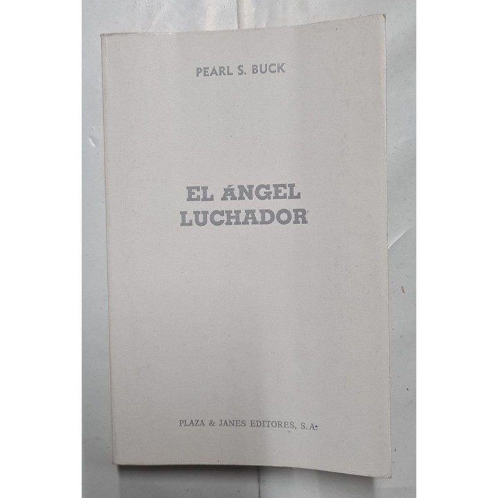 El ángel luchador