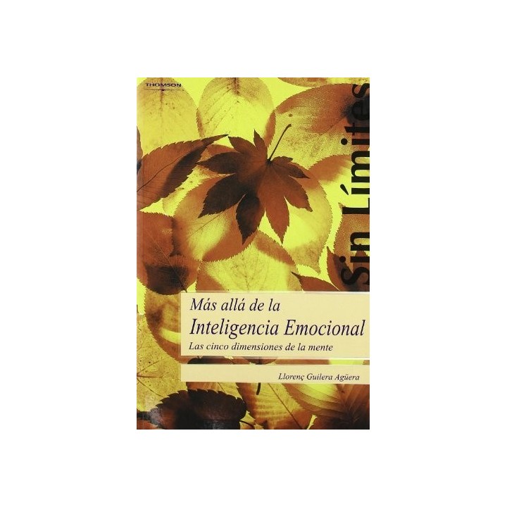 MAS ALLA DE LA INTELIGENCIA EMOCIONAL