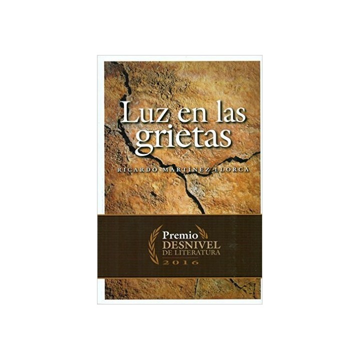 LUZ EN LAS GRIETAS