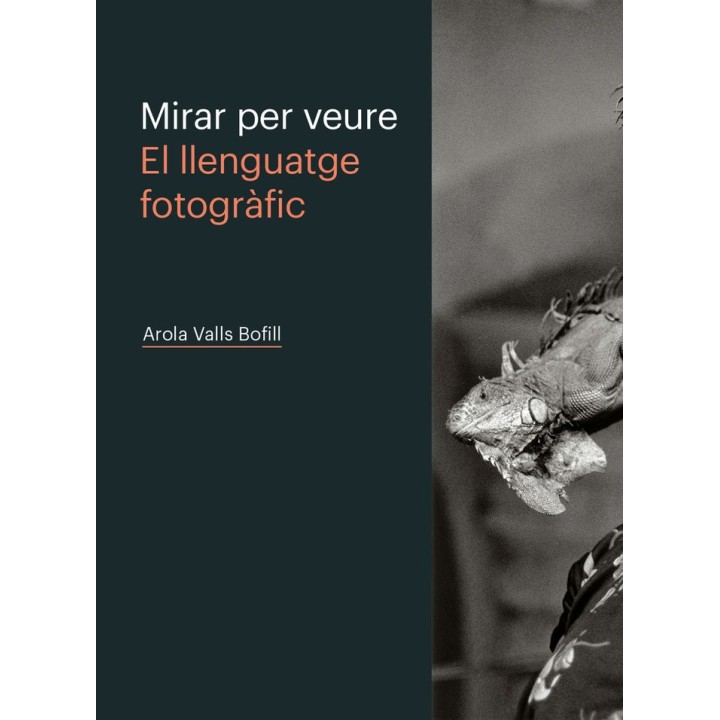 MIRAR PER VEURE EL LLENGUATGE FOTOGR+FIC