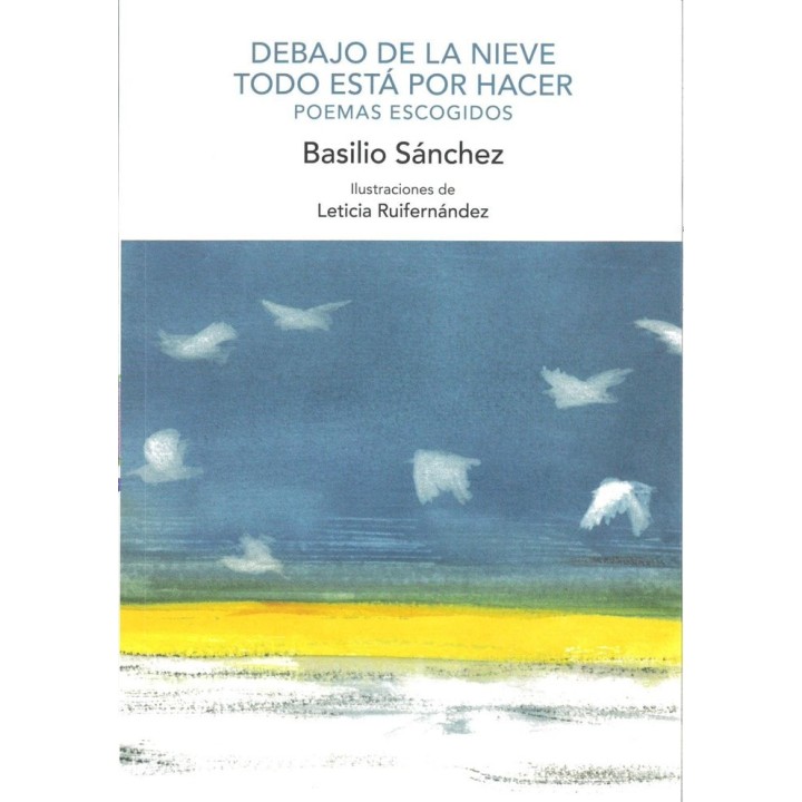 DEBAJO DE LA NIEVE TODO ESTA POR HACER