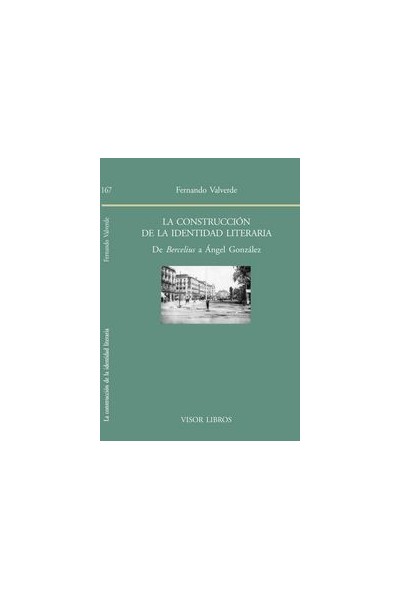 CONSTRUCCION DE LA IDENTIDAD LITERARIA,LA