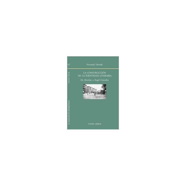 CONSTRUCCION DE LA IDENTIDAD LITERARIA,LA