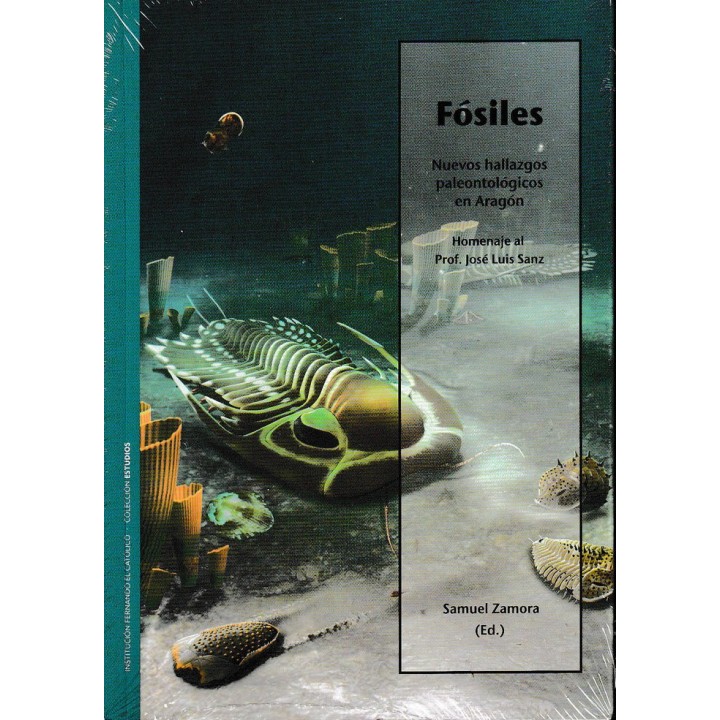 FOSILES. NUEVOS HALLAZGOS PALEONTOLOGICOS EN ARAGON.