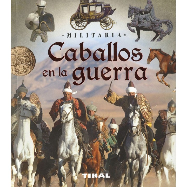 CABALLOS EN LA GUERRA