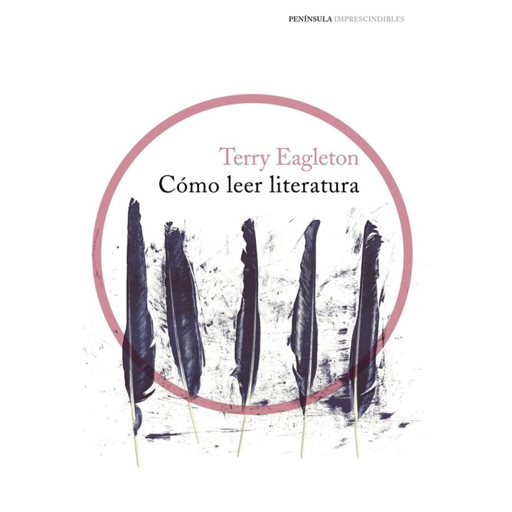 COMO LEER LITERATURA