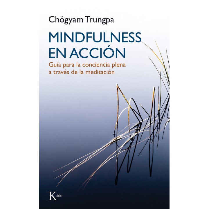 MINDFULNESS EN ACCION
