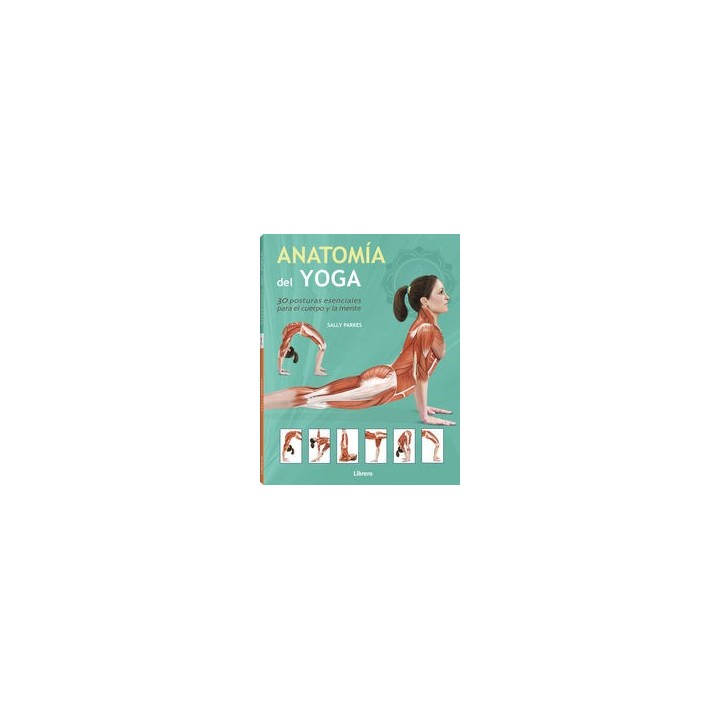 ANATOMIA DEL YOGA