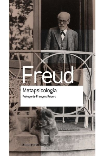 METAPSICOLOGIA