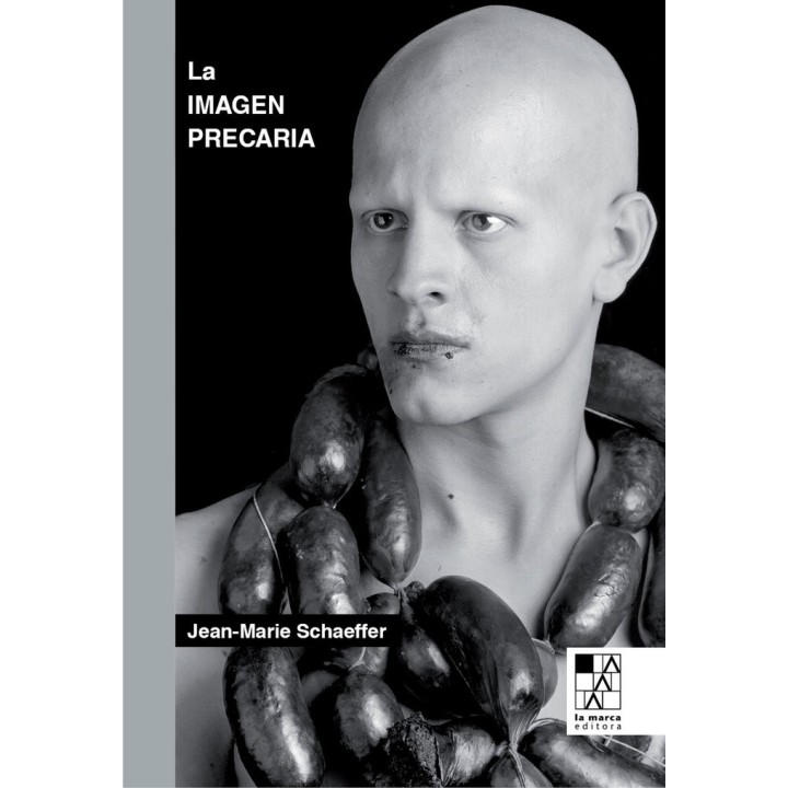 IMAGEN PRECARIA,LA