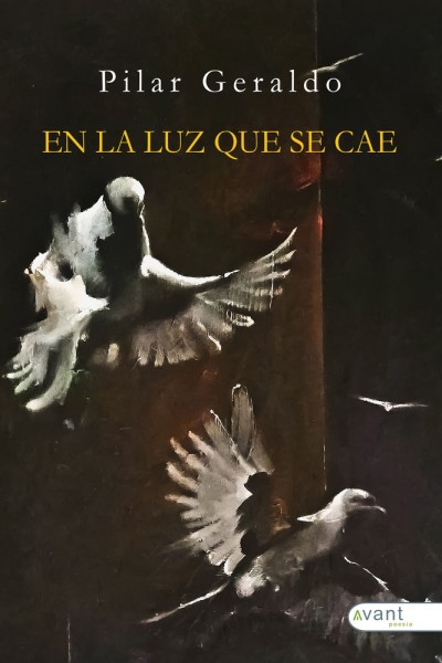 EN LA LUZ QUE SE CAE