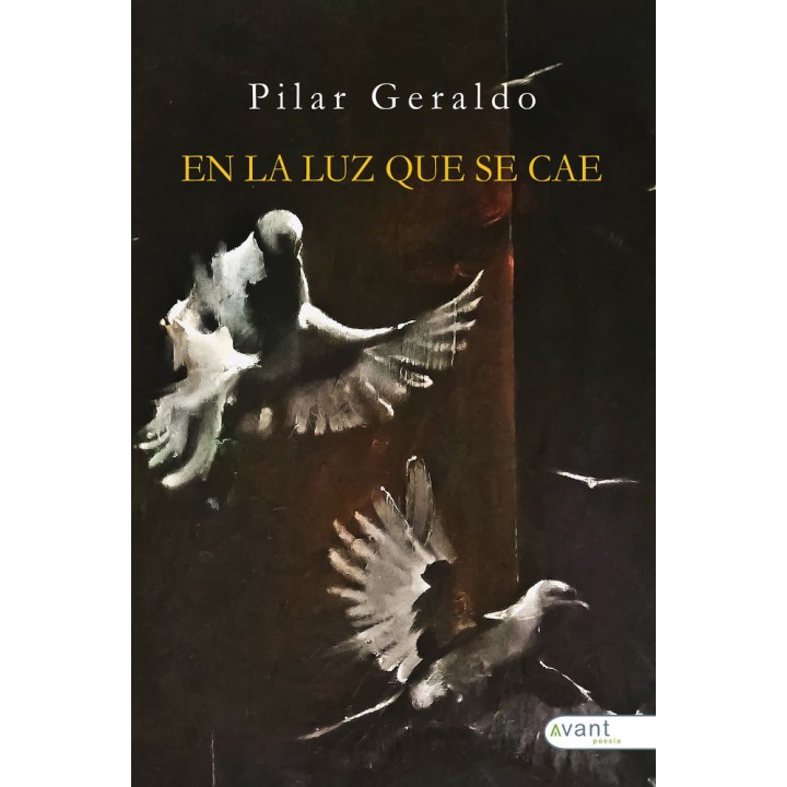 EN LA LUZ QUE SE CAE