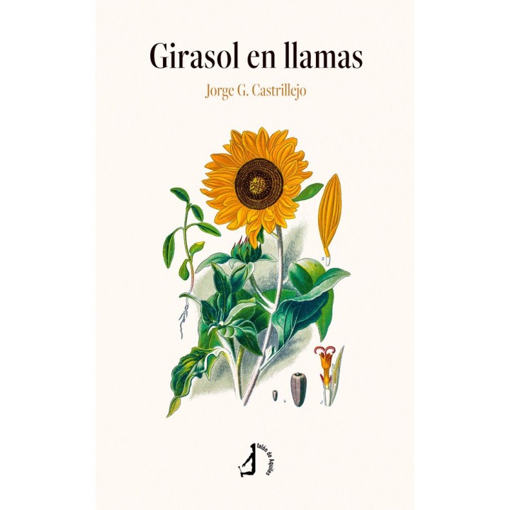 GIRASOL EN LLAMAS