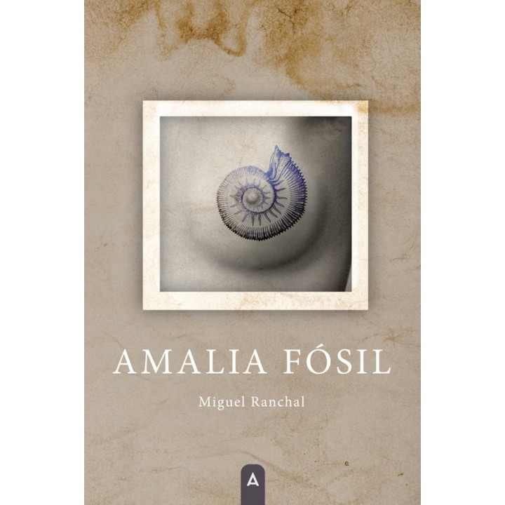 AMALIA FOSIL