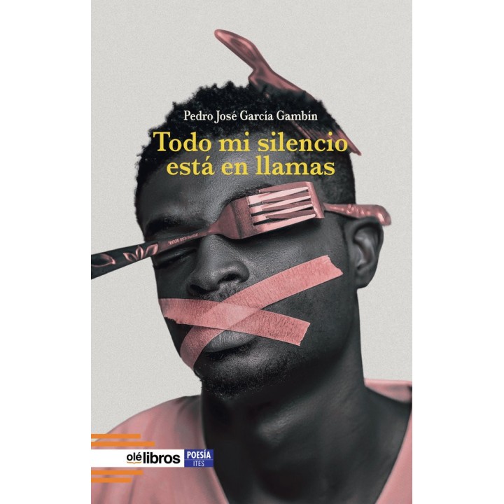 TODO MI SILENCIO ESTA EN LLAMAS
