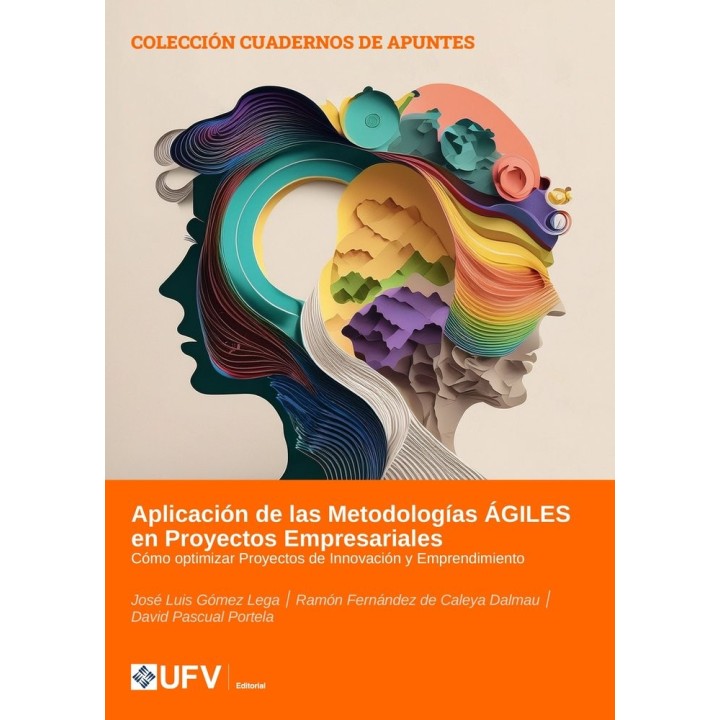 APLICACION DE LAS METODOLOGIAS AGILES EN PROYECTOS EMPRESARI