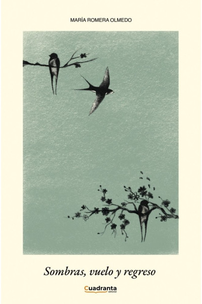 SOMBRAS VUELO Y REGRESO
