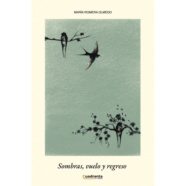 SOMBRAS VUELO Y REGRESO