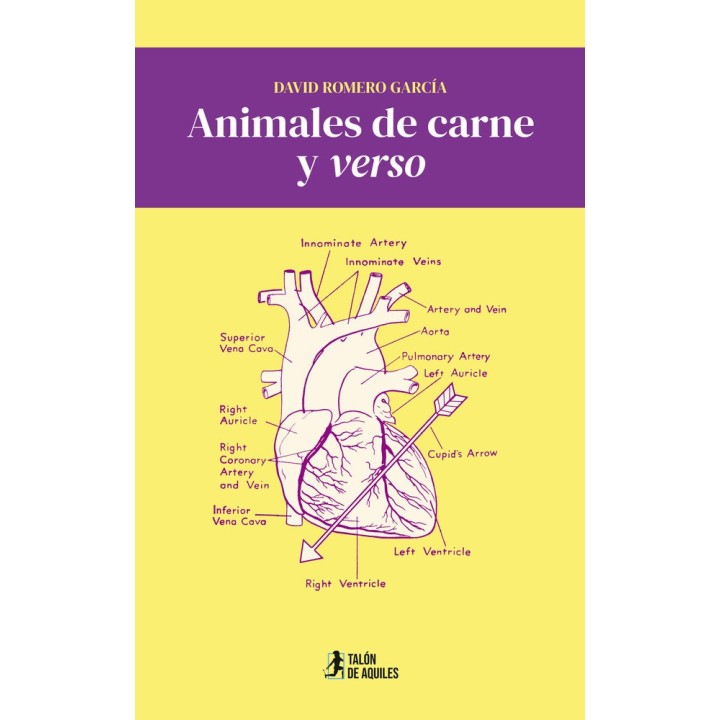 ANIMALES DE CARNE Y VERSO