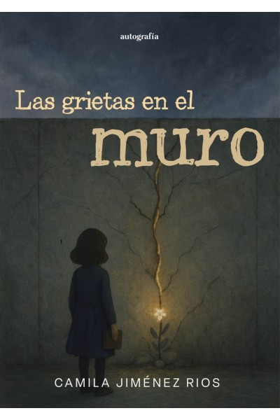 LAS GRIETAS EN EL MURO