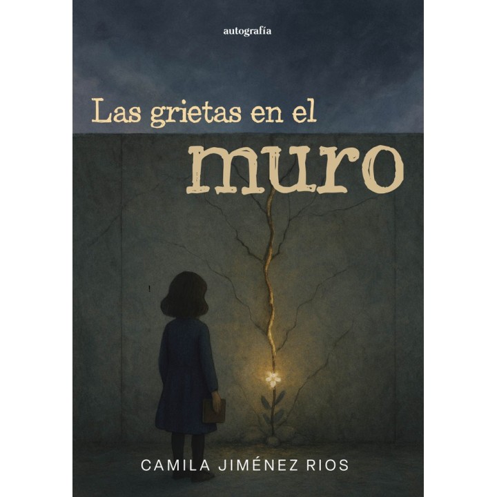 LAS GRIETAS EN EL MURO