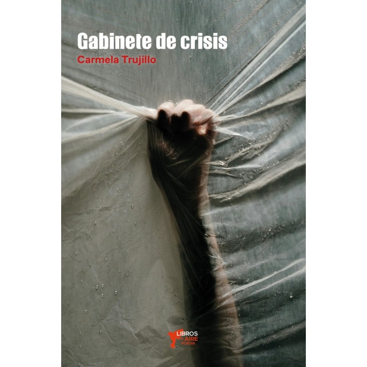 GABINETE DE CRISIS