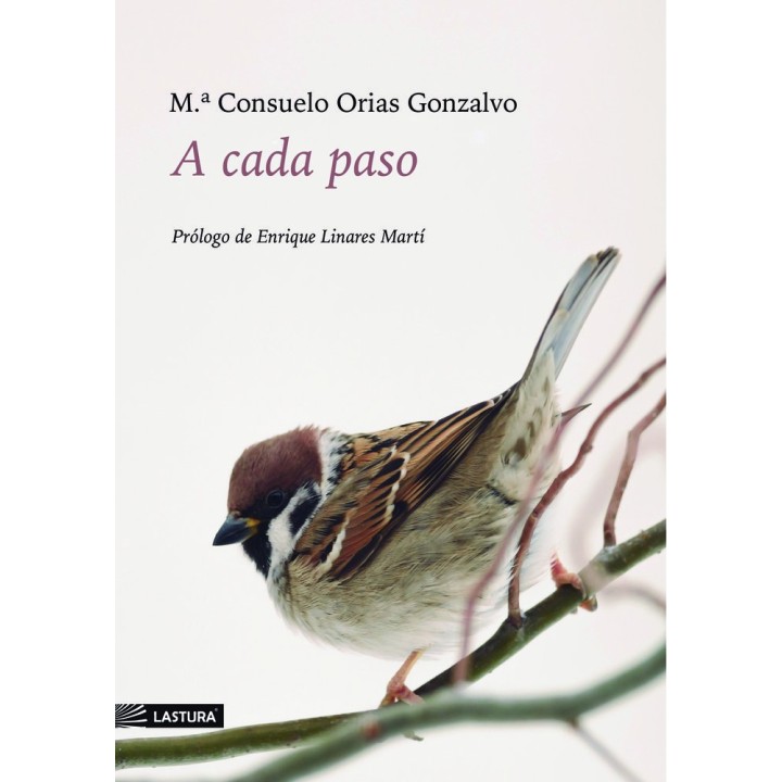 A CADA PASO