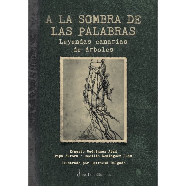 A LA SOMBRA DE LAS PALABRAS