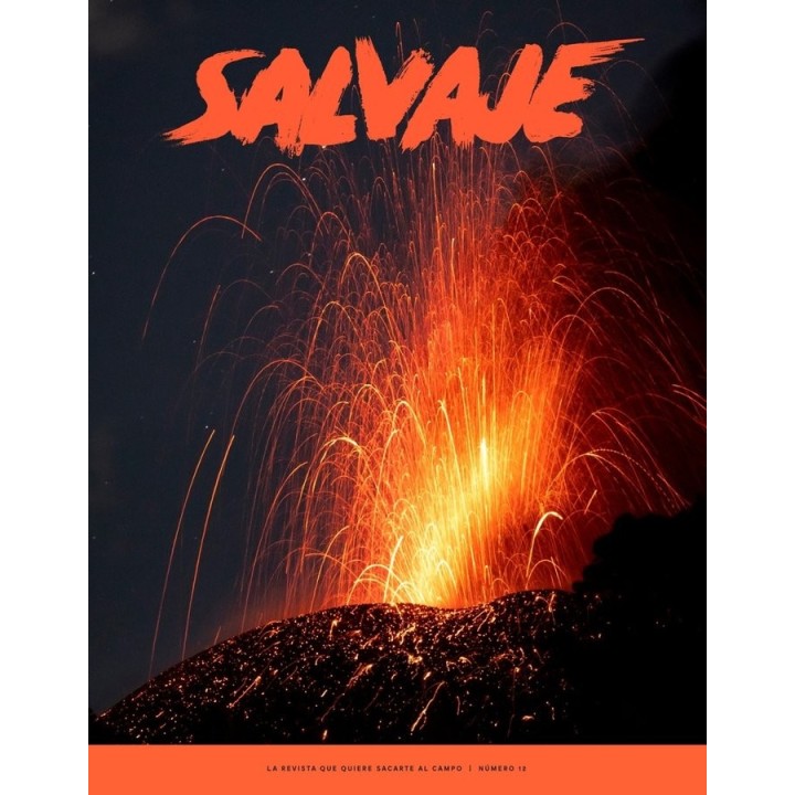 REVISTA SALVAJE 12