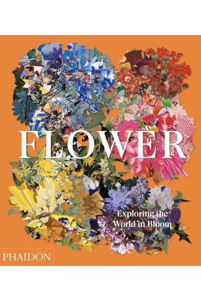 FLOWER EXPLORING THE WORLD IN BLOOM