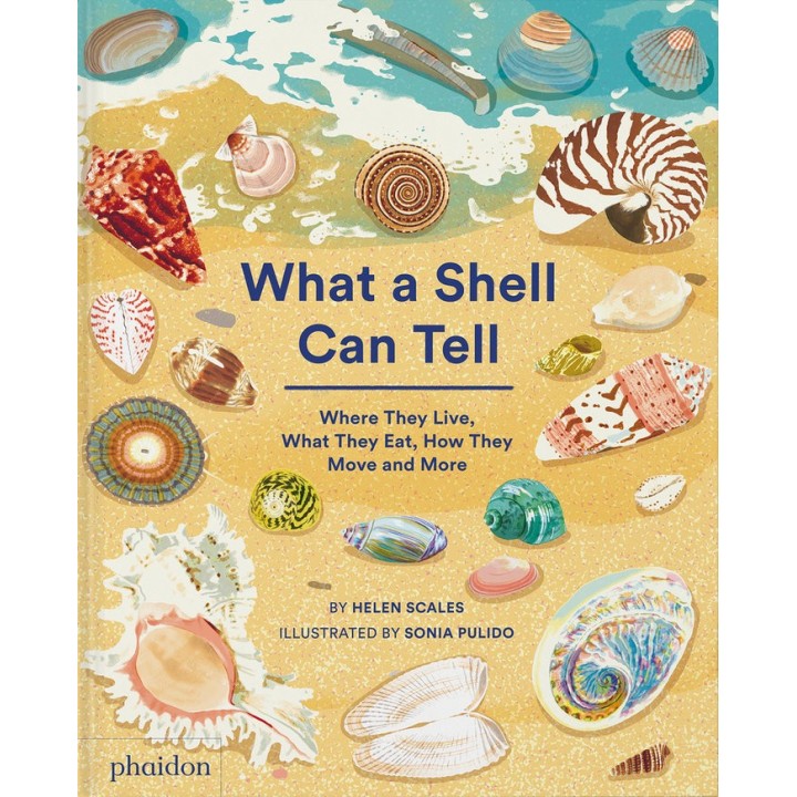 WHAT A SHELL CAN TELL