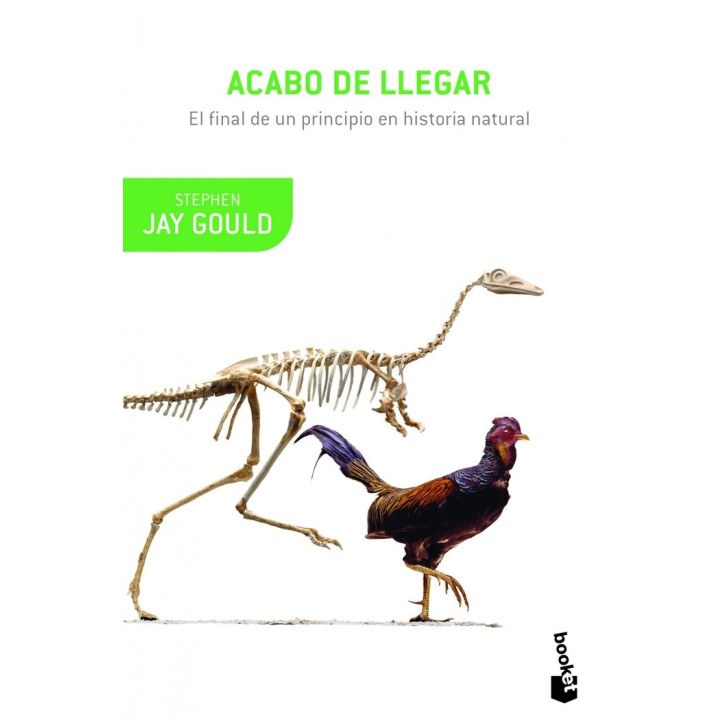 ACABO DE LLEGAR