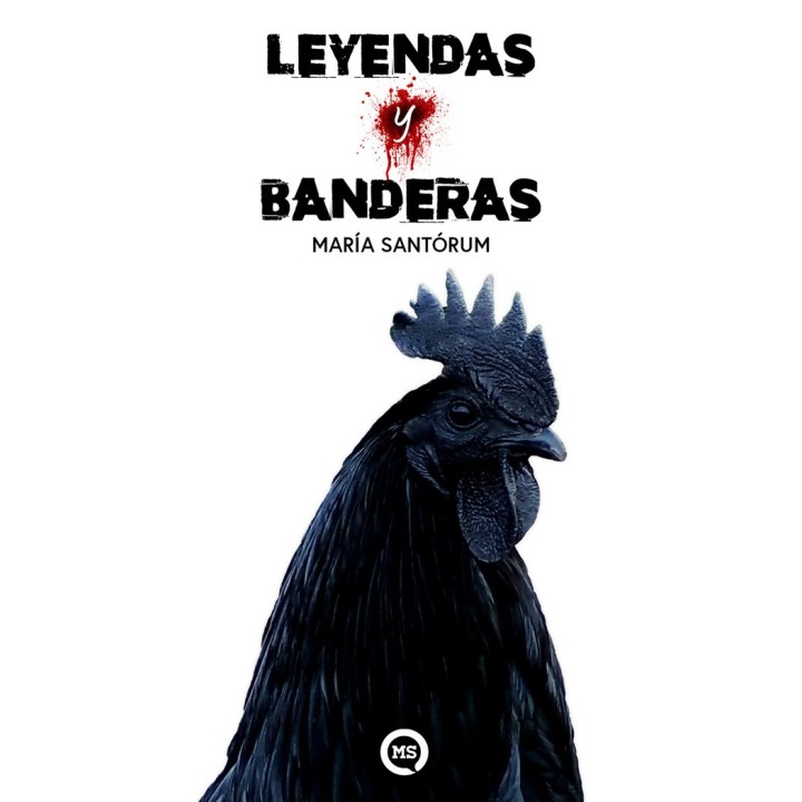 LEYENDAS Y BANDERAS
