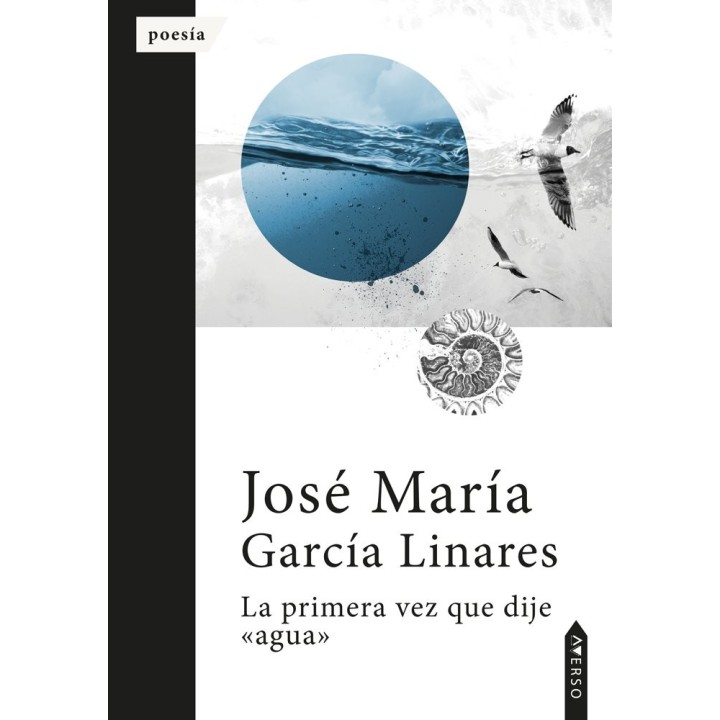 LA PRIMERA VEZ QUE DIJE AGUA