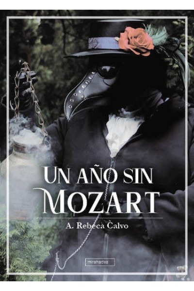 UN AÑO SIN MOZART