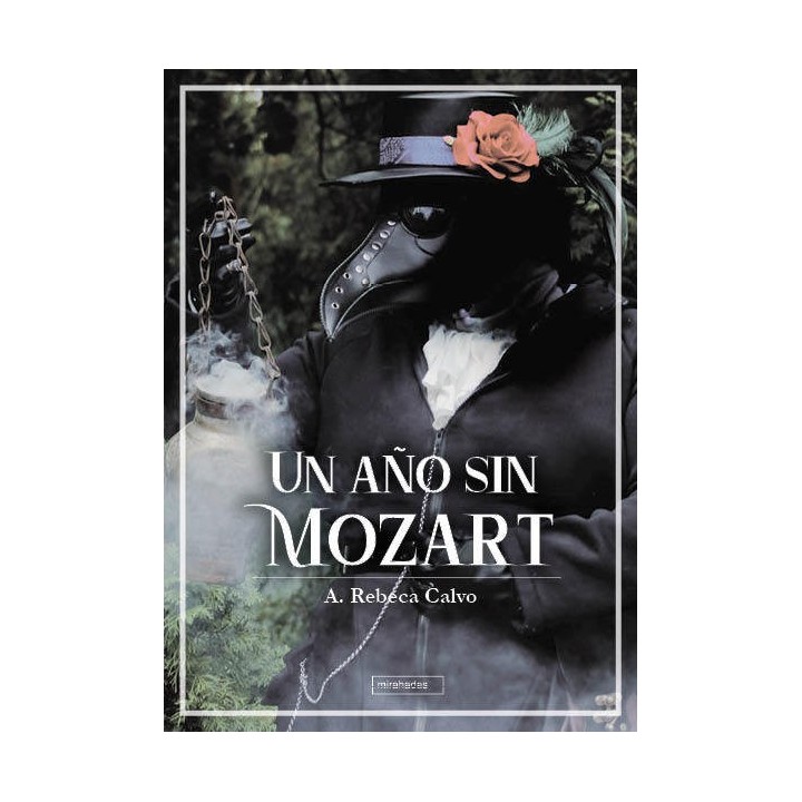 UN AÑO SIN MOZART