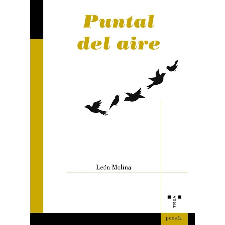 PUNTAL AL AIRE