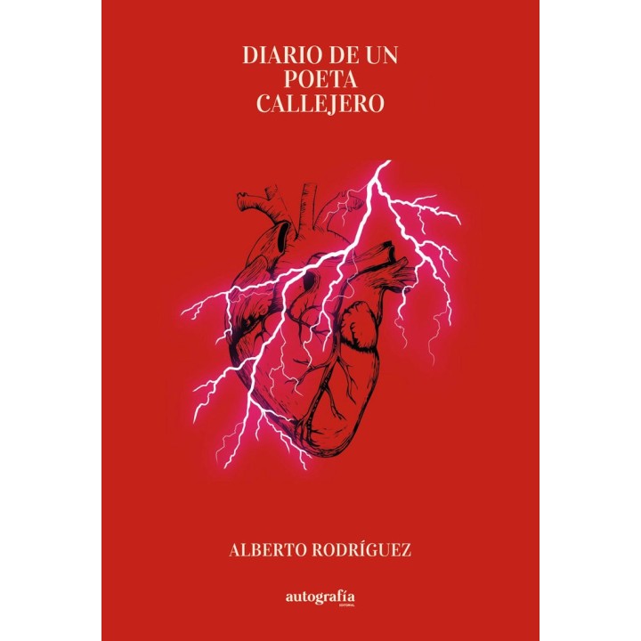 DIARIO DE UN POETA CALLEJERO