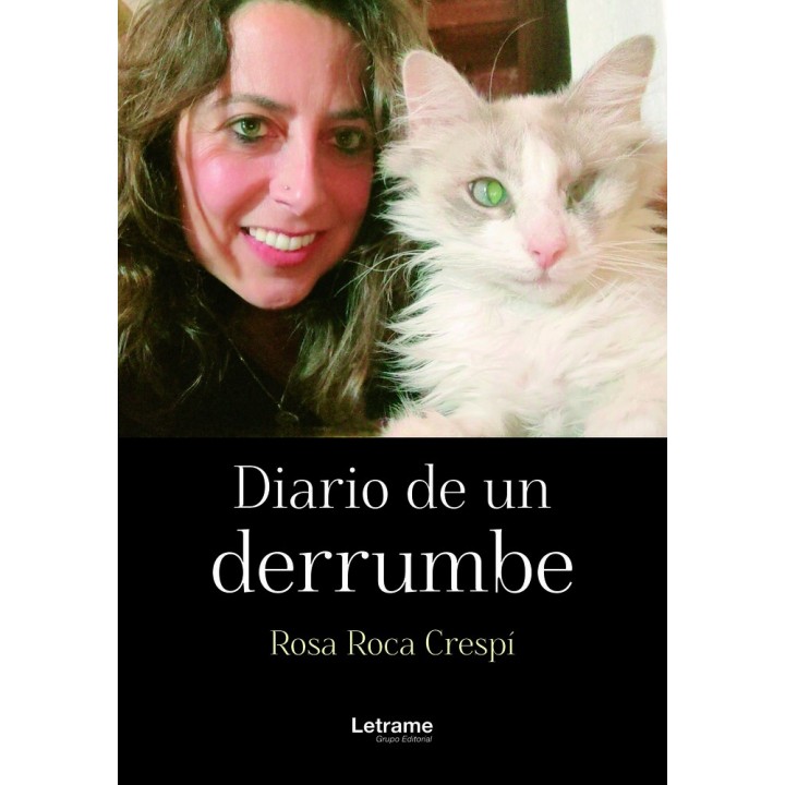 DIARIO DE UN DERRUMBE