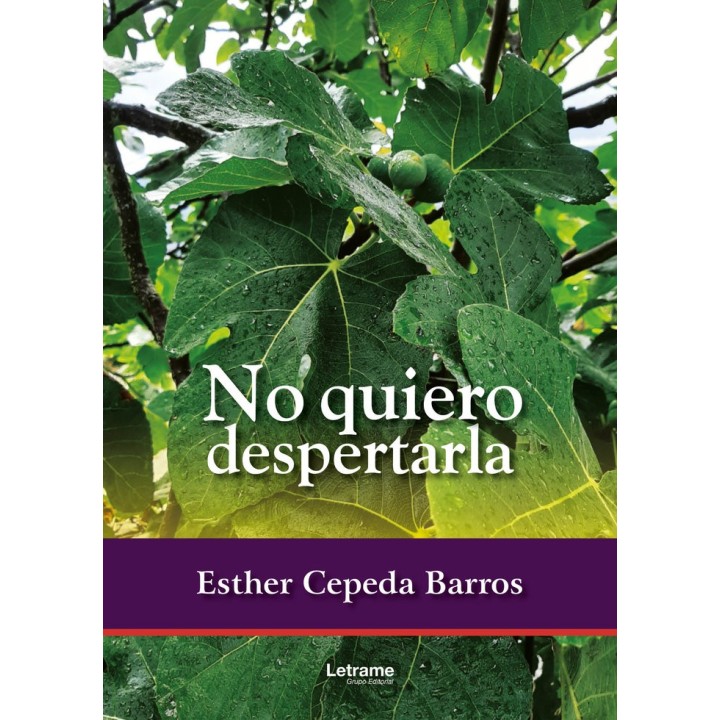 NO QUIERO DESPERTARLA