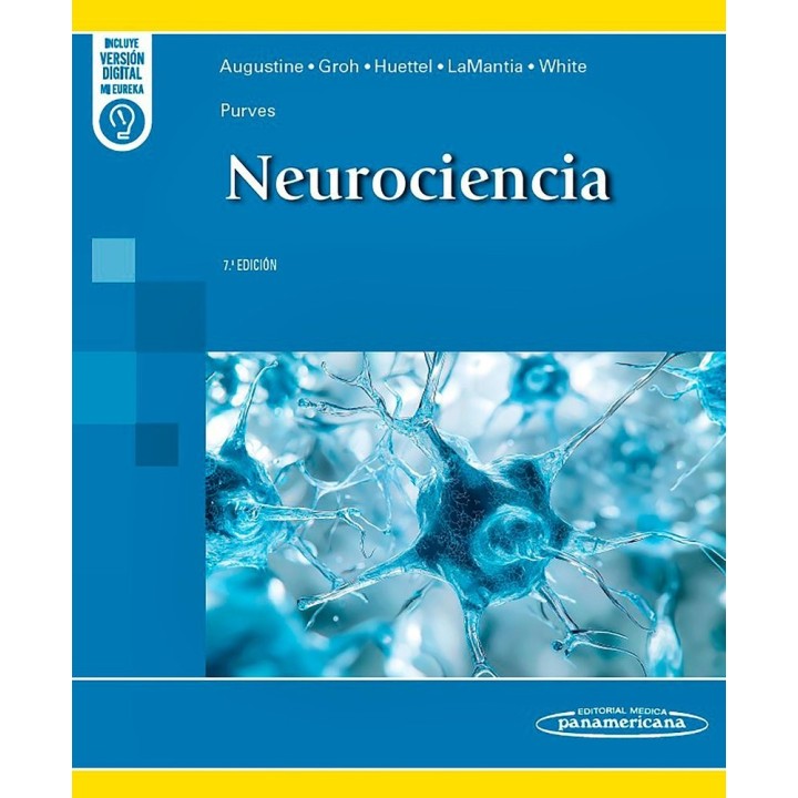 PURVES NEUROCIENCIA 7ª ED DUO